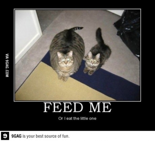 Feed me