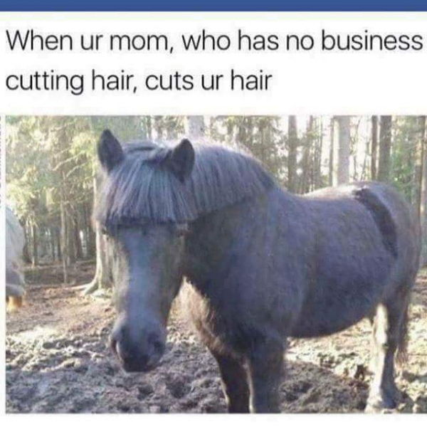 Hair dresser mom